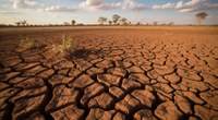 Cambiamento climatico | Studio multidisciplinare su correlazione tra siccità e incidenza dell’asma in Italia