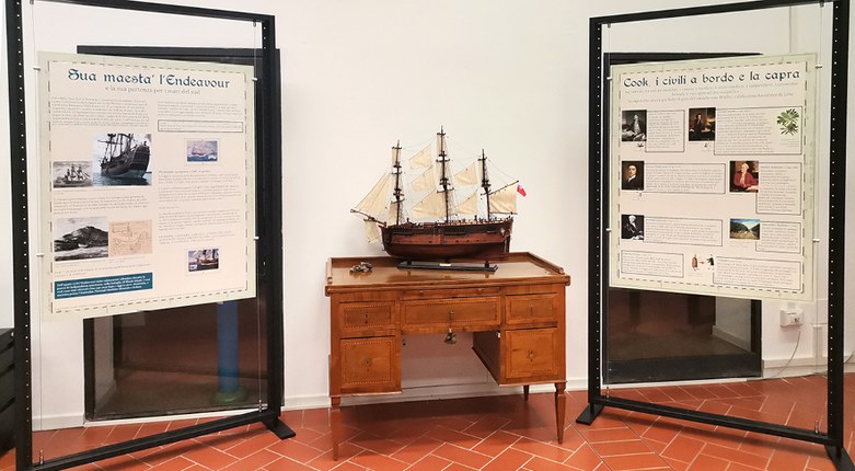 I tesori botanici delle terre australi in mostra a Unife | Un viaggio con James Cook tra erbari di specie esotiche e acquerelli I tesori botanici delle terre australi in mostra a Unife | Un viaggio con James Cook tra erbari di specie esotiche e acquerelli