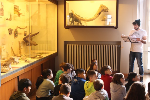 Il carnevale degli animali al Museo... Sulle note di Saint-Saëns