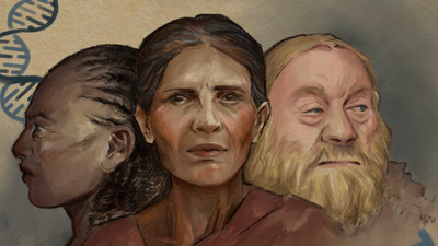 Evoluzione | Pelle scura fino a tremila anni fa. Studio Unife sui genomi antichi riscrive la storia del colore degli europei