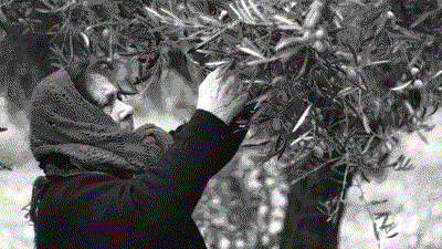 Genetica | Nel DNA delle donne siciliane 15.000 anni di storia dell’Isola. Lo studio firmato Unife e Pavia