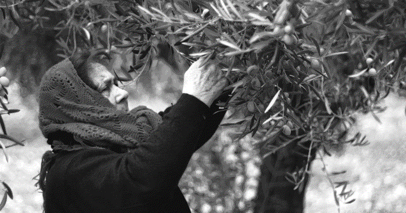 Genetica | Nel DNA delle donne siciliane 15.000 anni di storia dell’Isola. Lo studio firmato Unife e Pavia