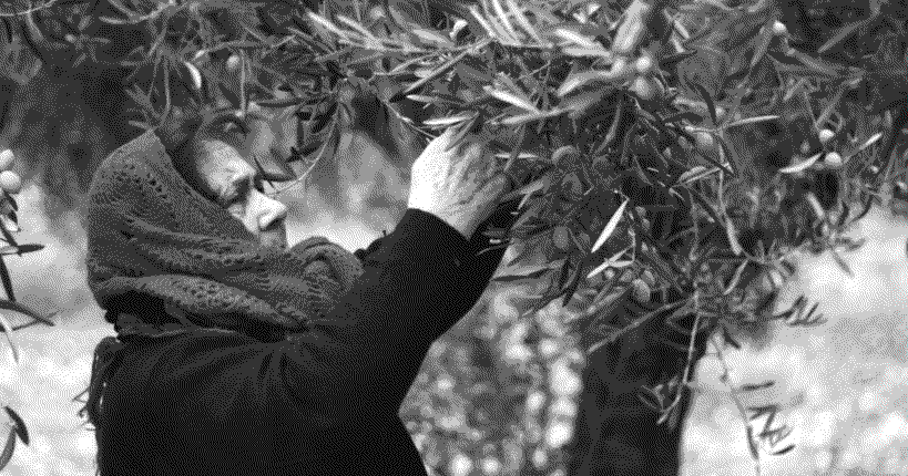 Genetica | Nel DNA delle donne siciliane 15.000 anni di storia dell’Isola. Lo studio firmato Unife e Pavia