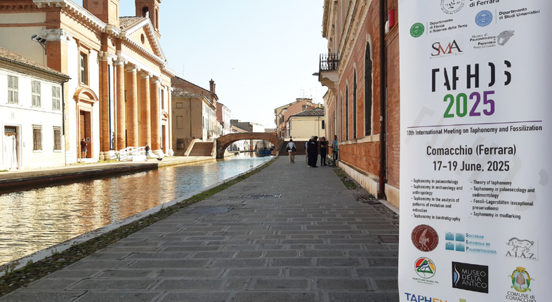 Paleontologia e preistoria | Unife riunisce a Comacchio esperti da tutto il mondo di tafonomia Paleontologia e preistoria | Unife riunisce a Comacchio esperti da tutto il mondo di tafonomia