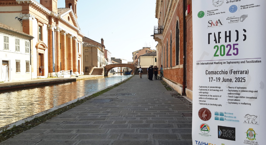 Paleontologia e preistoria | Unife riunisce a Comacchio esperti da tutto il mondo di tafonomia