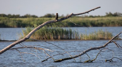Ecosister | Al via gli incontri tra proponenti delle sfide e stakeholder locali