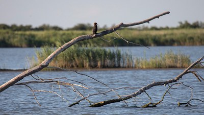 Ecosister | Al via le candidature per identificare soluzioni innovative alle sfide di transizione ecologica