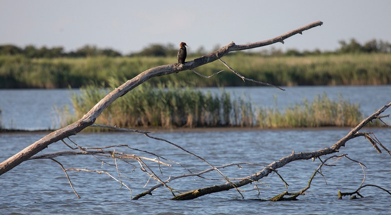 Ecosister | Innovazione e sostenibilità per affrontare le sfide del territorio