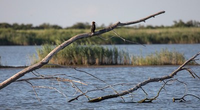 Ecosister | Innovazione e sostenibilità per affrontare le sfide del territorio