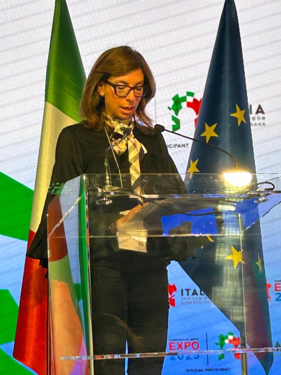 WhatsApp Image 2025-05-29 at 15.37.23.jpeg