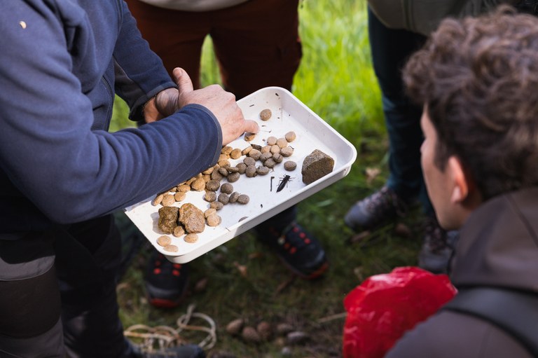 oasidynamo-©mattiamarasco-4158.jpg osservano