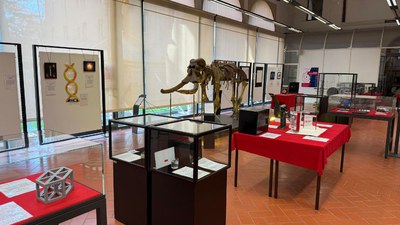 Art&Science Across Italy | A Unife nuova tappa della mostra che avvicina ragazze/i alla scienza attraverso l'arte