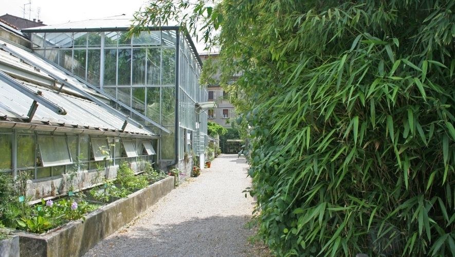 Unife e Fondazione di Ferrara EF - Fondo Gulinelli | Un volume per i 250 anni dell’Orto Botanico nelle scuole e biblioteche ferraresi