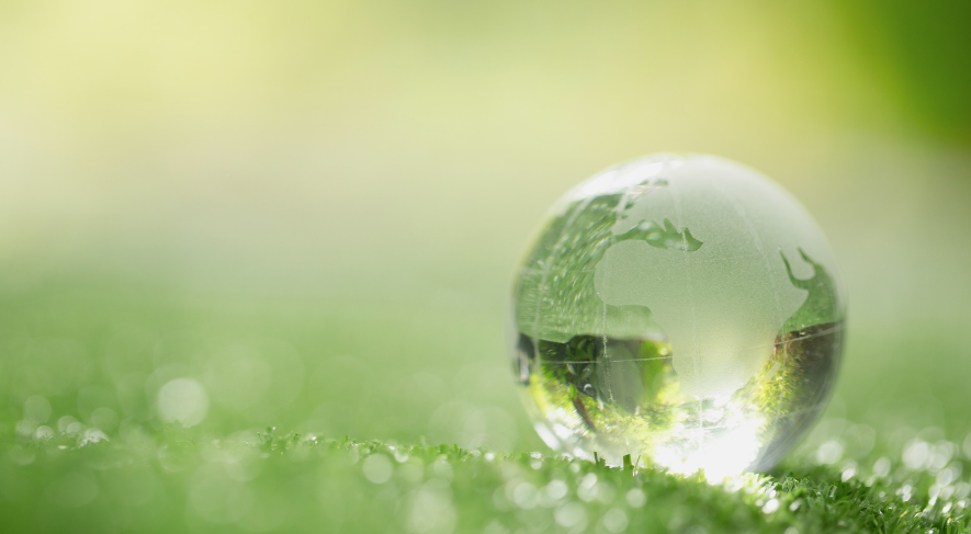 Sostenibilità | Unife cresce nel ranking internazionale UI GreenMetric e guadagna 60 posizioni nel mondo