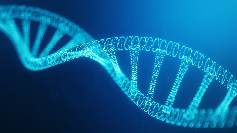 DNA e anomalie congenite | Studio Unife sulle cause del labbro leporino