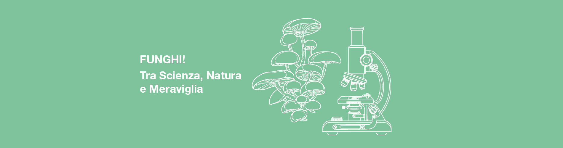 Funghi! Tra scienza, natura e meraviglia