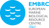 logo-embrc-it (1).png