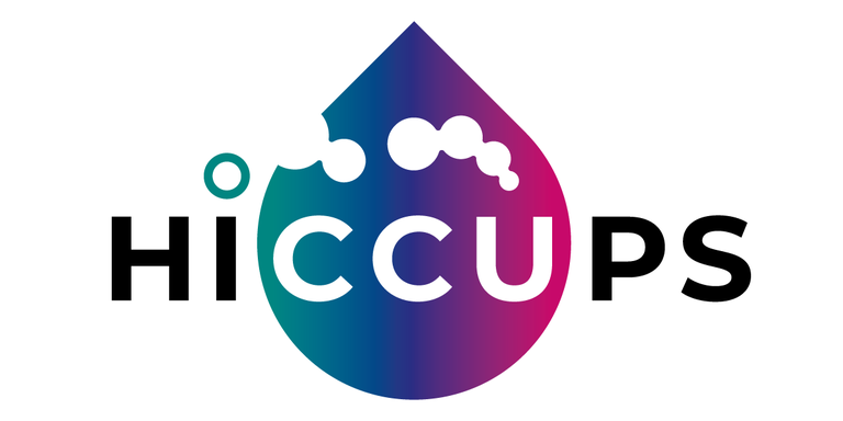 23-12-11 HICCUPS Logo.png