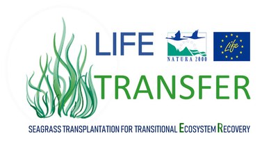 Logo Transfer JPEG.jpg