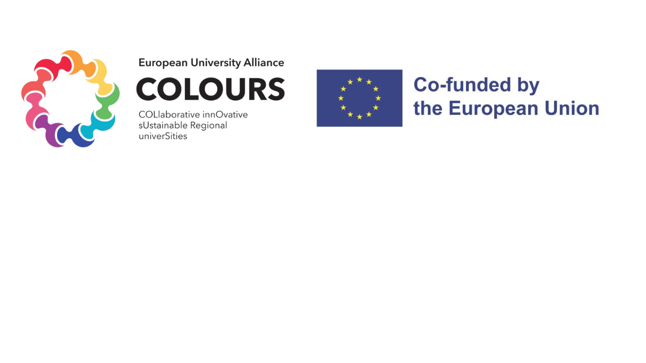 Presentazione standard1.pdf (1).png