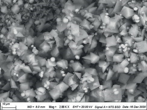 UNIFE_Metodo-sostanze-organiche_Immagine 1.jpg UNIFE_Metodo-sostanze-organiche_Immagine 1.jpg