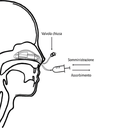 f93ab175-16b5-460e-b085-1b0881c2aae2.png
