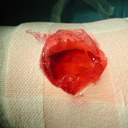 Immagine thunbnail.jpg