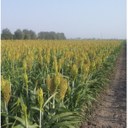 UNIFE_Metodo-sostanze-organiche_Immagine 1.jpg