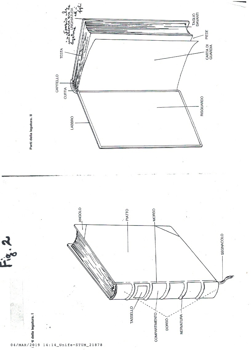 Fig. 2