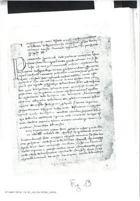 Fig. 19