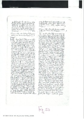 Fig. 20