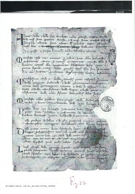 Fig. 22