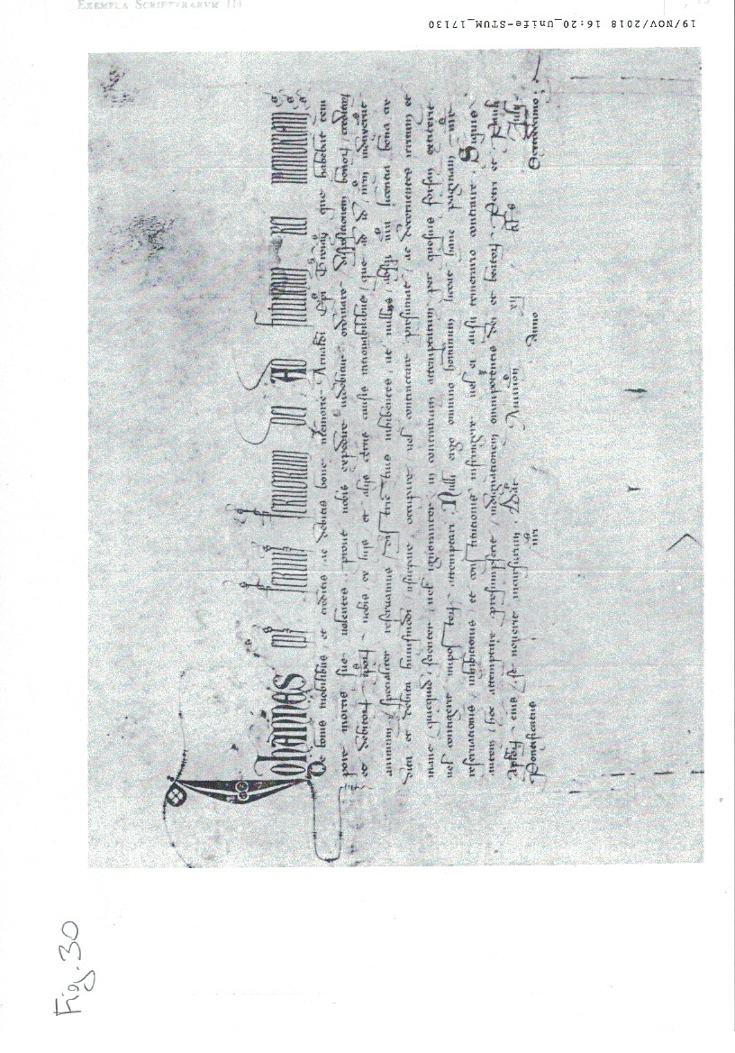 Fig. 30
