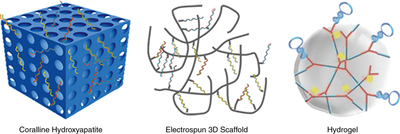 Traditional scaffolds for bone regeneration