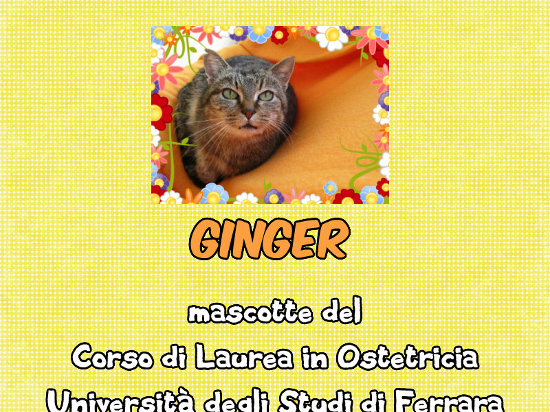 Ginger(1).jpg