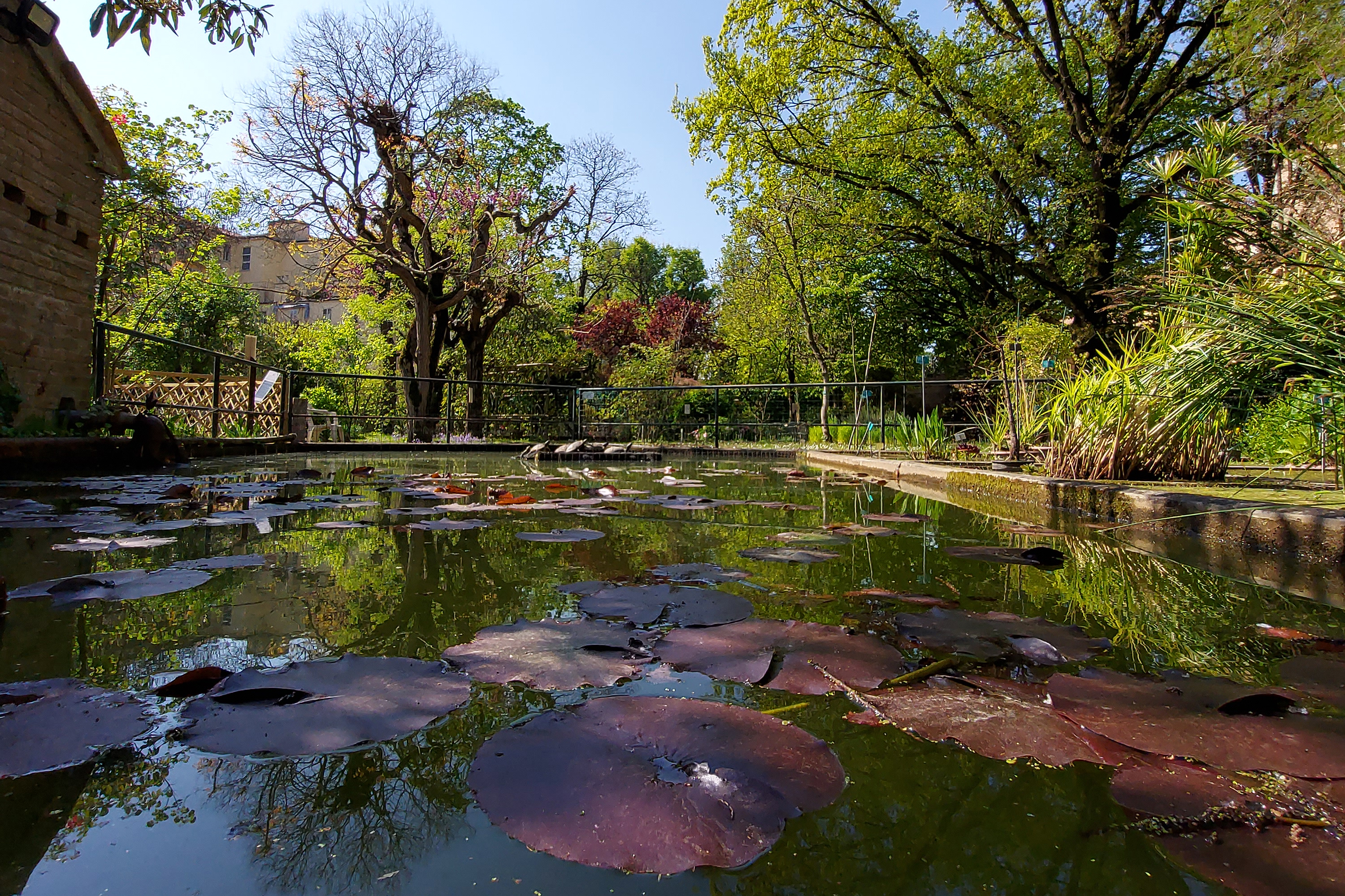 Orto Botanico