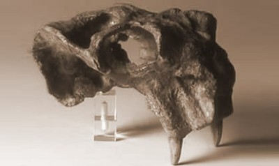 lystrosaurus