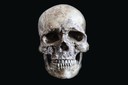 Cranio di Homo sapiens (Cro-Magnon, Francia)