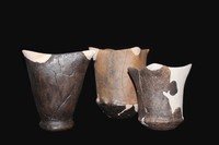 Modelli di vasi a bocca quadrata (Molino Casarotto, Vicenza)