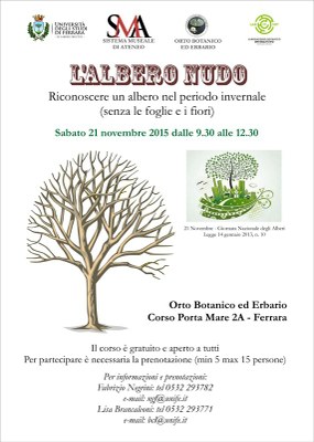 albero nudo