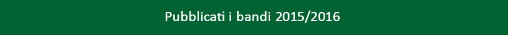 Bandi 31