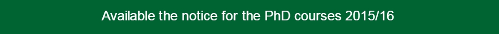 Notice 31